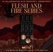 Flesh and Fire Series Jennifer L. Armentrout The bookish Box 004024 фото 9