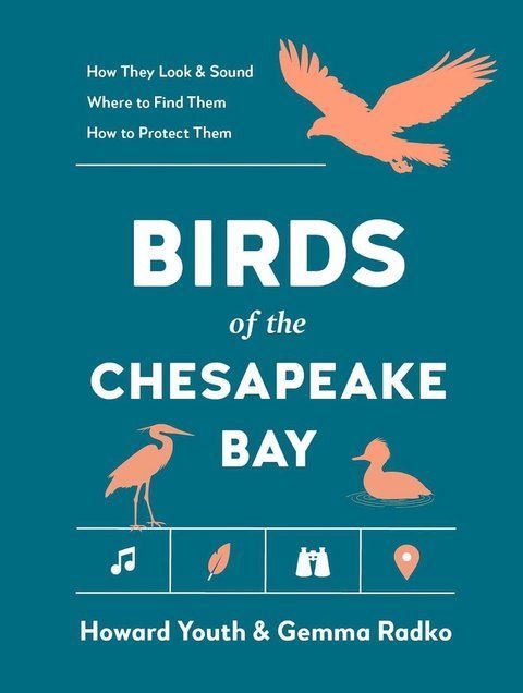 Birds of the Chesapeake Bay Howard Youth, Gemma Radko 10765 фото
