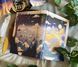 Dawn of the Firebird Sarah Mughal Rana Fairyloot copy_007823 фото 3