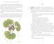 The Little Prince (Collector's Edition) Antoine de Saint-Exup&eacute;ry 000601 фото 3