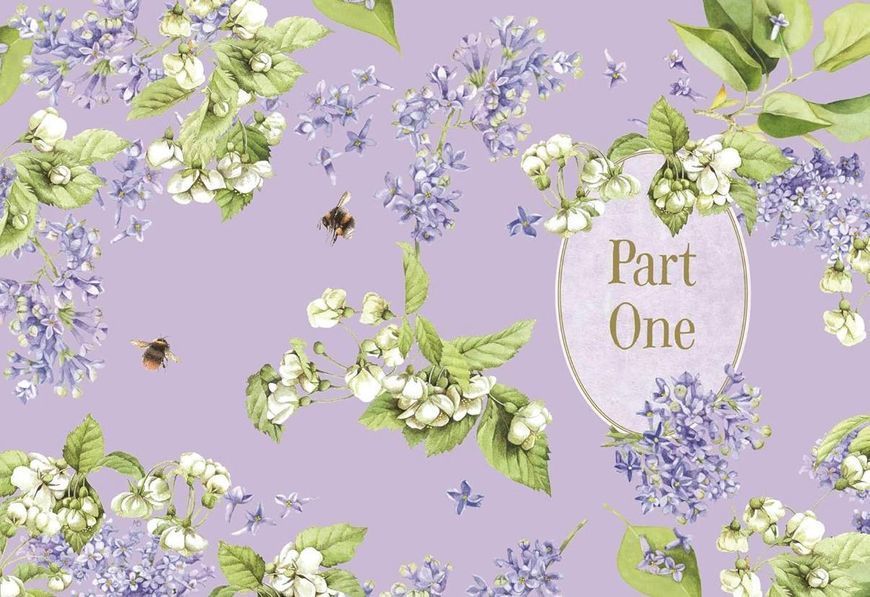 Little Women (Marjolein Bastin Classics Series) Louisa May Alcott  009631 фото
