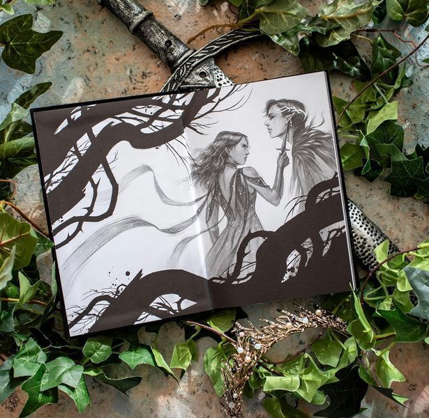 The Cruel Prince Collector's Edition: Collector Edition, the: 1 Holly Black 000289 фото