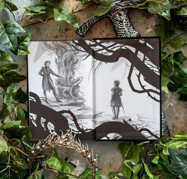 The Cruel Prince Collector's Edition: Collector Edition, the: 1 Holly Black 000289 фото