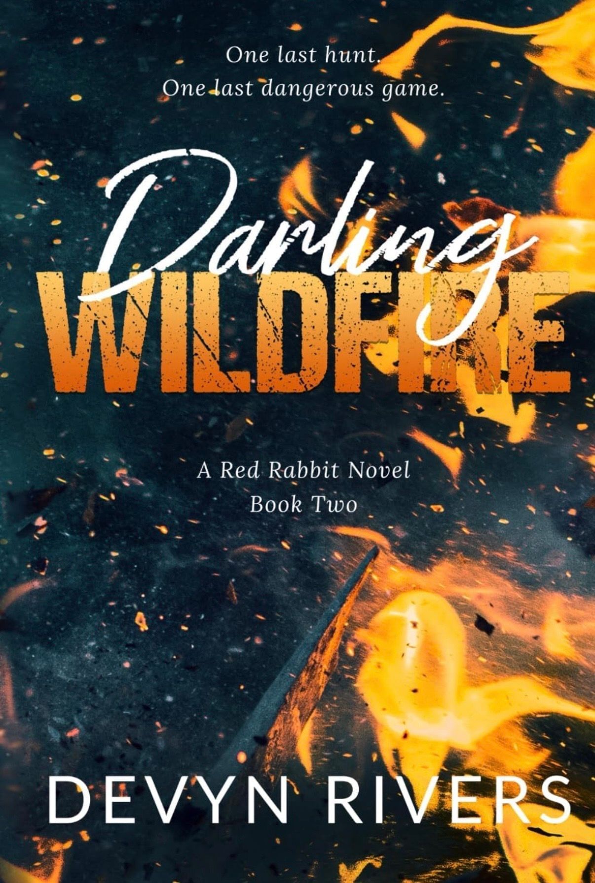 Купити Darling Wildfire: One Last Dangerous Game: 2 (Red Rabbit Series ...