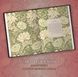 An Archive of Romance: A Study in Drowning Novella: 3 Ava Reid 009189 фото 5