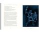 Classical Mythology of the Constellations: Timeless Tales of the Starry Night Sky Annette Giesecke  009191 фото 3