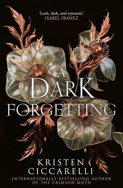 A Dark Forgetting Kristen Ciccarelli 007476 фото